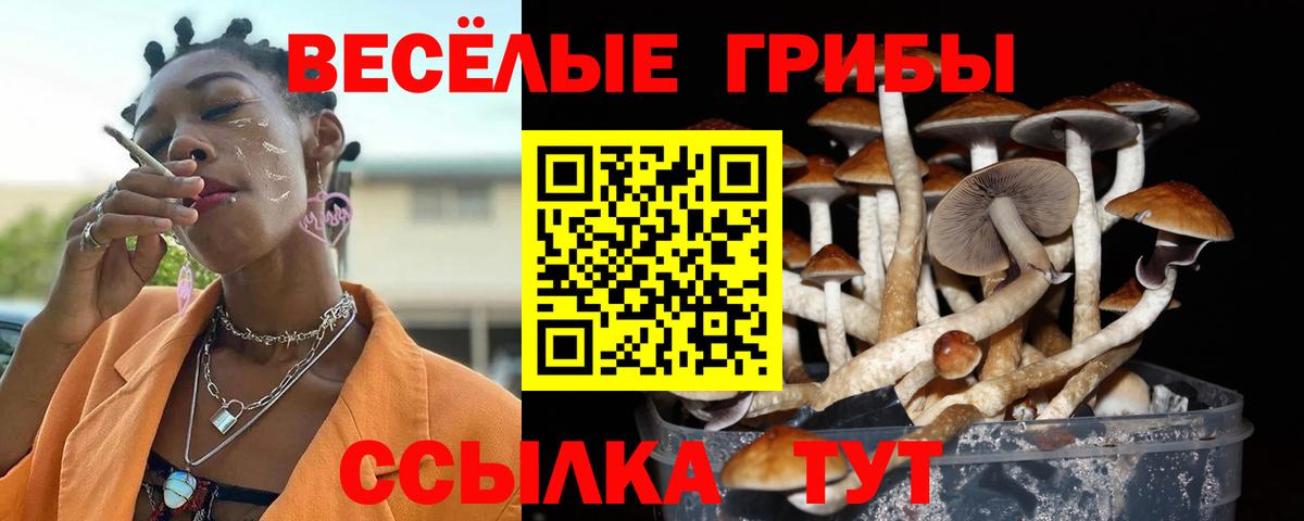 Барабинск  Псилоцибиновые грибы Magic Shrooms  Псилоцибиновые грибы прущие грибы  Вход с VPN 